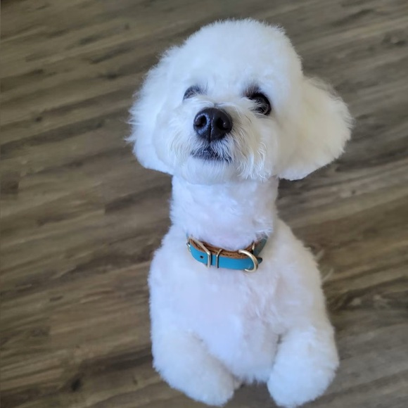 kyleandluna
